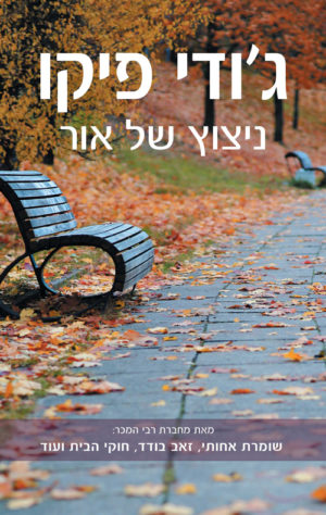 ניצוץ של אור / ג'ודי פיקו