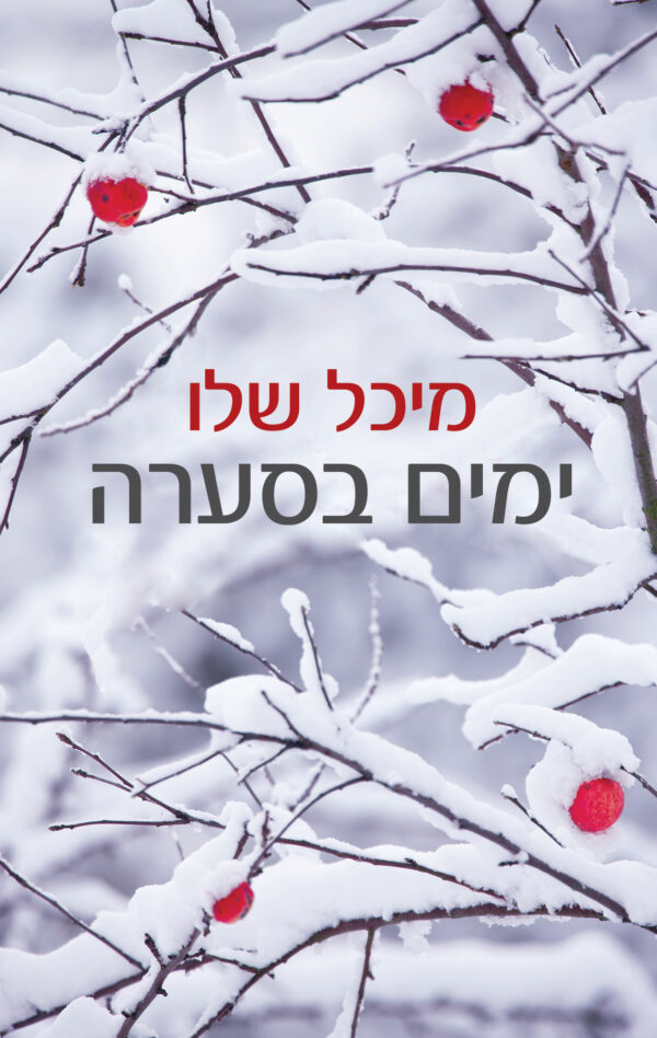 ימים בסערה / מיכל שלו